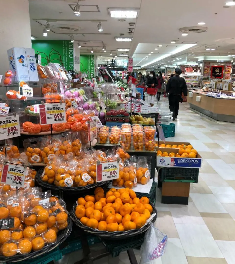 リブシティ錦糸町: Skytree Views, Easy Access to Tokyo & Narita Apartment